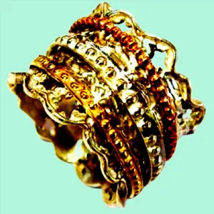 Spinner Fidget ring for women - Israel Ring for Woman